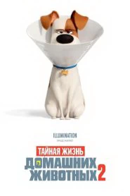 Тайная жизнь домашних животных 2 (2019)